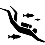 Learn to Dive